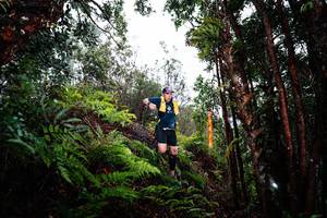 BIB: 
                            <button type="button" onclick="openModal(26205440)" class="btn btn-primary btn-sm float-right btn-popup" data-toggle="modal" data-target=".modal-high-quality">
                        <i class="fas fa-shopping-cart"></i> Add to Cart
                    </button>
                                            <button type="button" onclick="isThisMe(26205440, true)" class="btn btn-success btn-sm float-right btn-popup btn-isme hidden" data-toggle="tooltip" data-placement="bottom" title="นี่คือรูปของคุณใช่ไหม คลิกที่นี่เพื่อเอาเข้าอัลบั้ม">
                        <i class="fas fa-plus"></i> Add to album
                    </button>
                    <button type="button" onclick="isThisMe(26205440, false)" class="btn btn-warning btn-sm float-right btn-popup btn-isnotme hidden">
                        <i class="fas fa-ban"></i> Remove from album
                    </button>